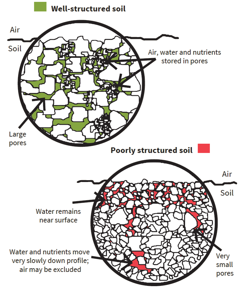 Soil Structure