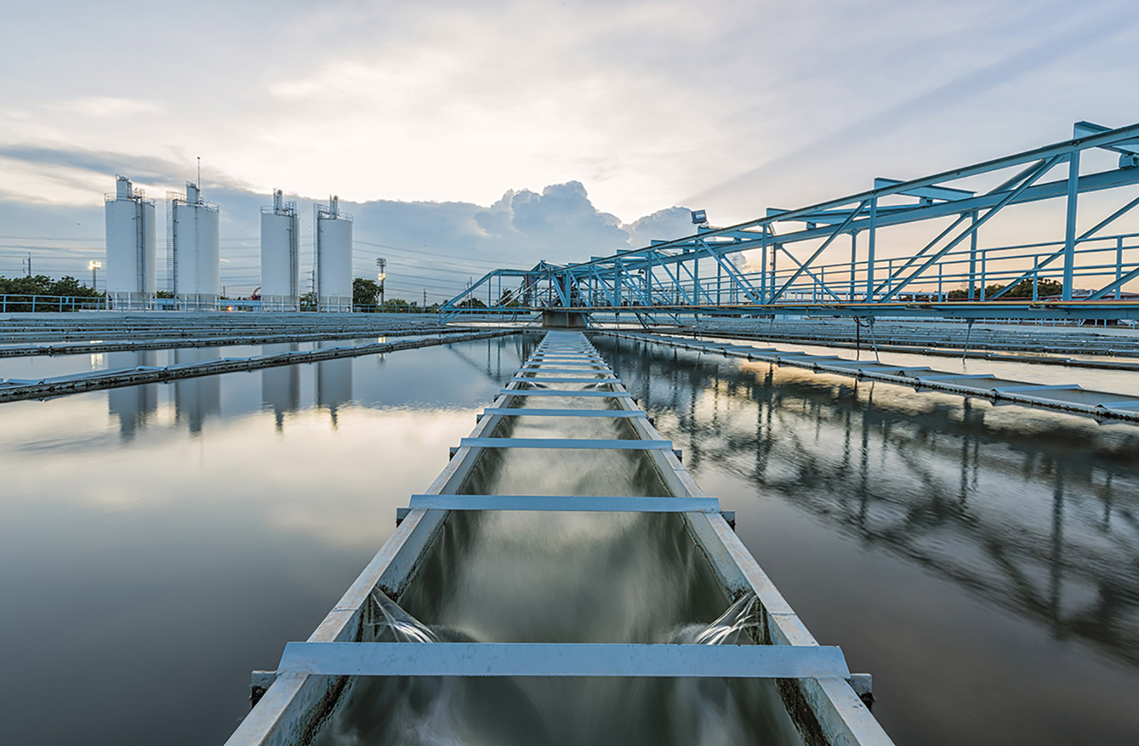 Biosolids
