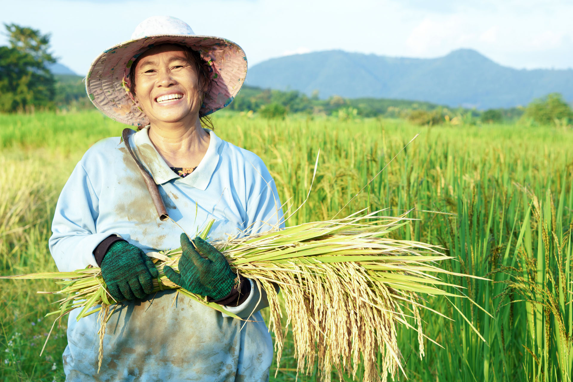 Rice Cropping