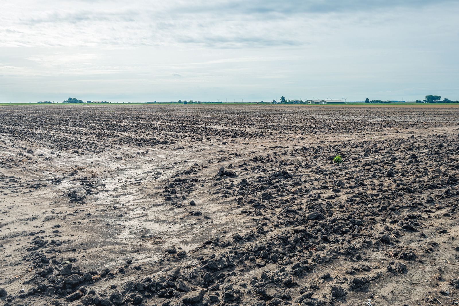 soil and sludge